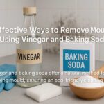 Vinegar and Baking Soda: Natural Mould Removal Guide