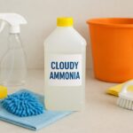 Nine Creative Ways to Clean with Cloudy Ammonia